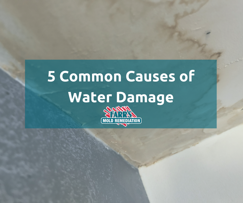 water damage on the ceiling and 5 common cuases of water damage