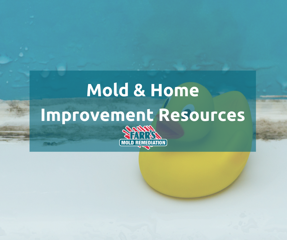 Understanding Mold Inspections and Remediation Standards in Arkansas