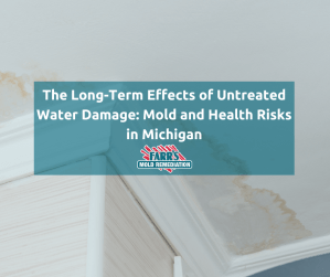 The Long-Term Effects of Untreated Water Damage: Mold and Health Risks in Michigan